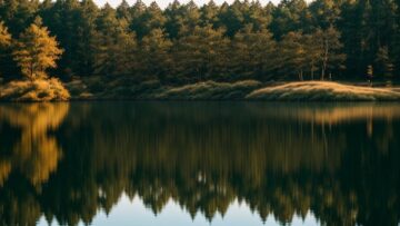 Proverbe lac: une sagesse ancestrale